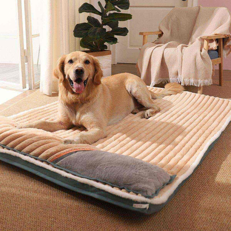 Cama para Pets Lavável Com Zíper e Travesseiro Removível