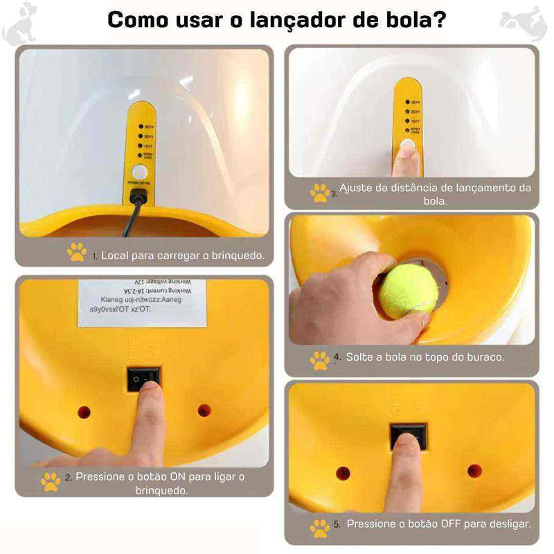 Lançador de Bola Automático Para Cães + 3 Bolas de Brinde + USB