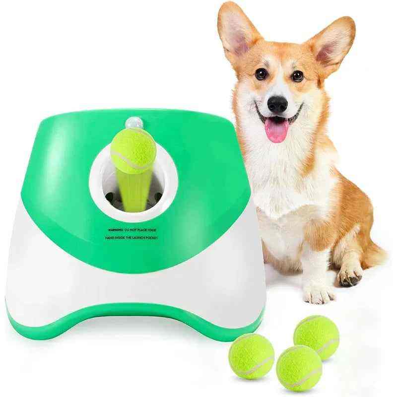 Lançador de Bola Automático Para Cães + 3 Bolas de Brinde + USB