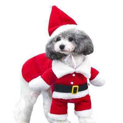 Roupa de Natal para Cachorro - Papai Noel